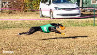 Program 1 Race 2 Hex Marlo Swiss-7496