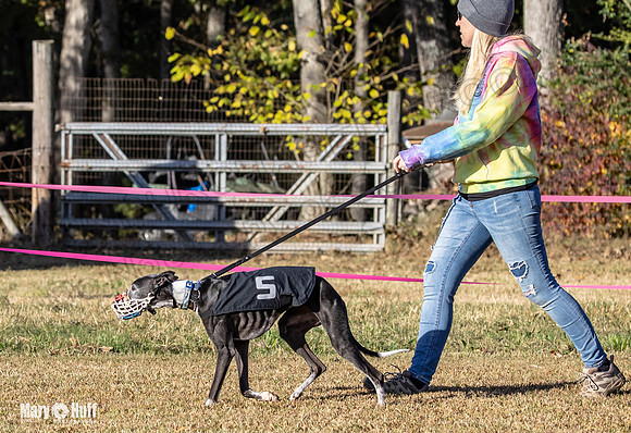Program 1 Race 4 Lanie Jefe Bentley Zen Trillian-7523