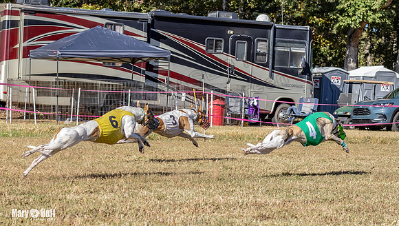 Program 1 Race 14 Tara Conway Eagle Pearl-8017