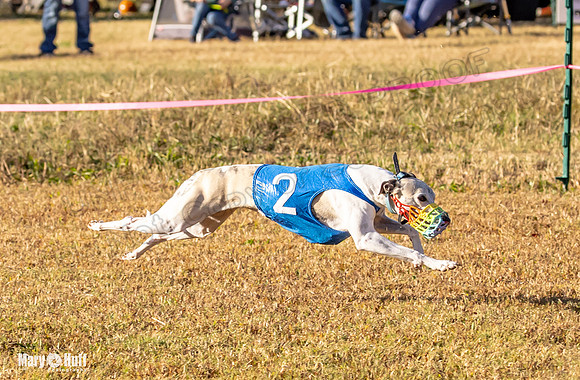 Program 1 Race 3 Bumble Mizuno Strummer Emma Soarin-7518