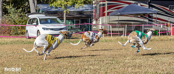 Program 1 Race 14 Tara Conway Eagle Pearl-8015