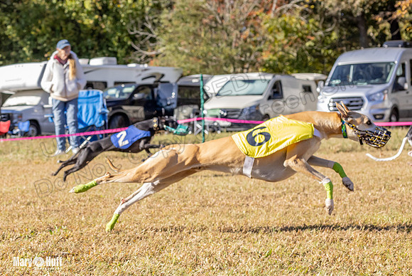 Program 1 Race 12 Tusi Elsa SweetnLow Sneakers Player-7943
