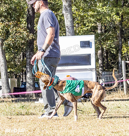 Program 1 Race 15 Brock Veela Dewey Wanda Alex-8022