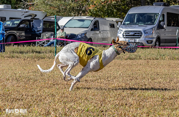 Program 1 Race 14 Tara Conway Eagle Pearl-8011