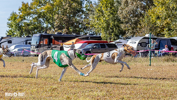 Program 1 Race 14 Tara Conway Eagle Pearl-8005
