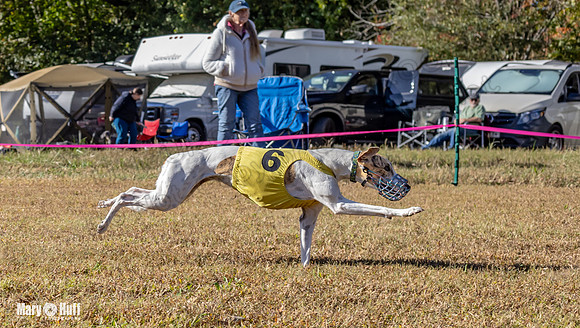 Program 1 Race 14 Tara Conway Eagle Pearl-8010