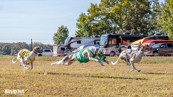 Program 1 Race 14 Tara Conway Eagle Pearl-8004