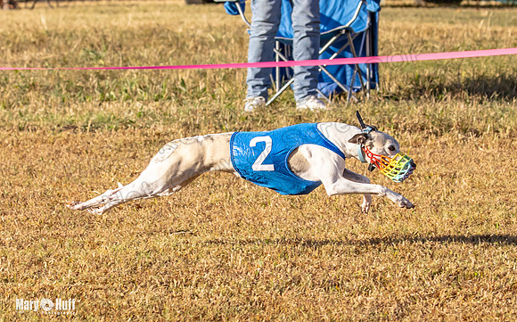 Program 1 Race 3 Bumble Mizuno Strummer Emma Soarin-7520