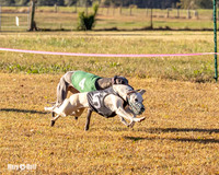 Program 1 Race 3 Bumble Mizuno Strummer Emma Soarin-7508