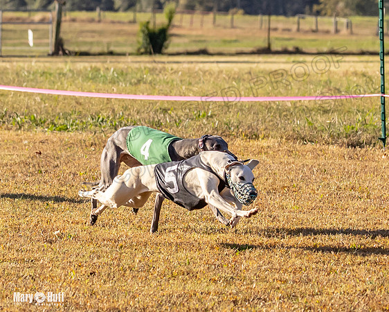 Program 1 Race 3 Bumble Mizuno Strummer Emma Soarin-7508
