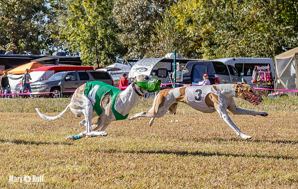 Program 1 Race 14 Tara Conway Eagle Pearl-8006