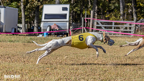 Program 1 Race 14 Tara Conway Eagle Pearl-8013