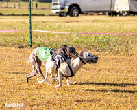 Program 1 Race 3 Bumble Mizuno Strummer Emma Soarin-7509