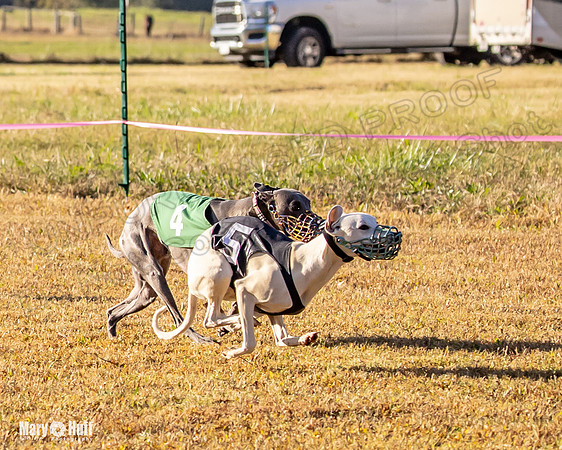 Program 1 Race 3 Bumble Mizuno Strummer Emma Soarin-7509