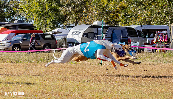 Program 1 Race 11 EllieMae Phantom Roadie Pedro Mimic-7877