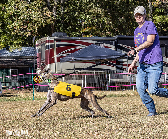 Program 1 Race 15 Brock Veela Dewey Wanda Alex-8046