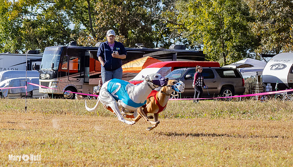 Program 1 Race 11 EllieMae Phantom Roadie Pedro Mimic-7875