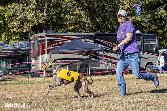 Program 1 Race 15 Brock Veela Dewey Wanda Alex-8045