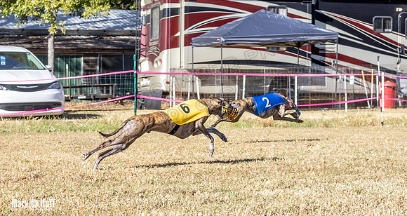 Program 1 Race 15 Brock Veela Dewey Wanda Alex-8079