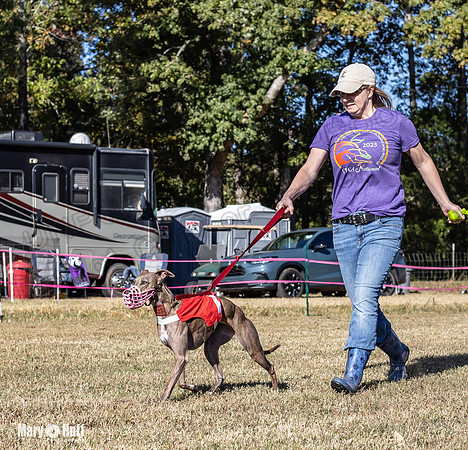Program 1 Race 14 Tara Conway Eagle Pearl-7989