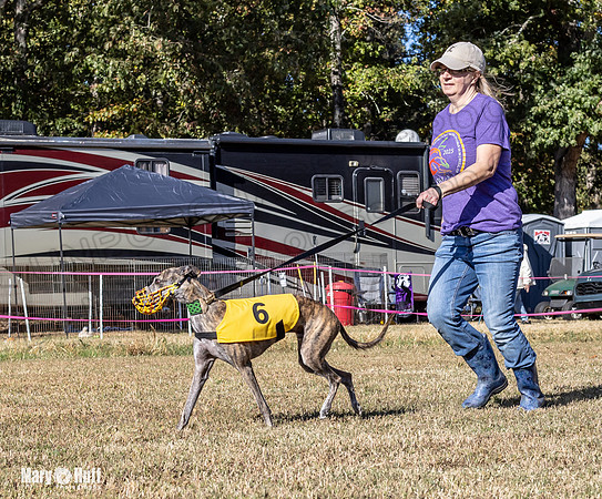 Program 1 Race 15 Brock Veela Dewey Wanda Alex-8042