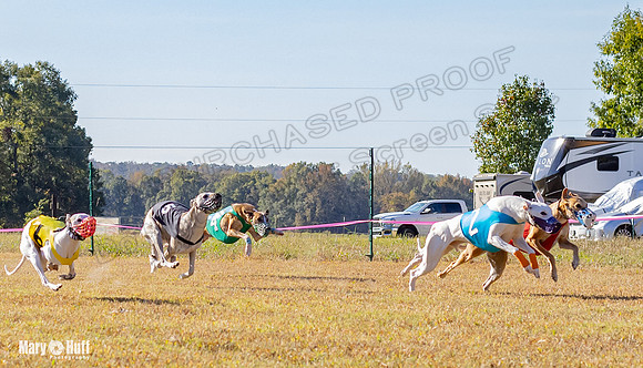 Program 1 Race 11 EllieMae Phantom Roadie Pedro Mimic-7872