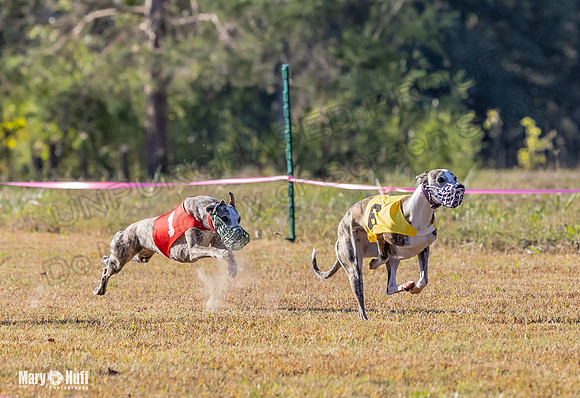 Program 1 Race 4 Lanie Jefe Bentley Zen Trillian-7545