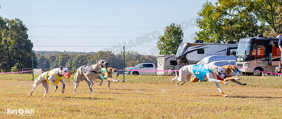 Program 1 Race 11 EllieMae Phantom Roadie Pedro Mimic-7873