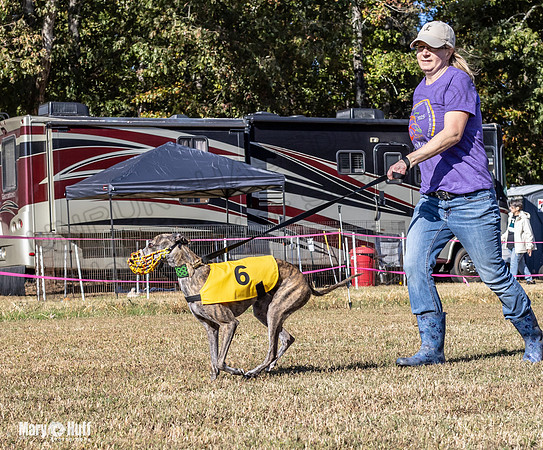 Program 1 Race 15 Brock Veela Dewey Wanda Alex-8043