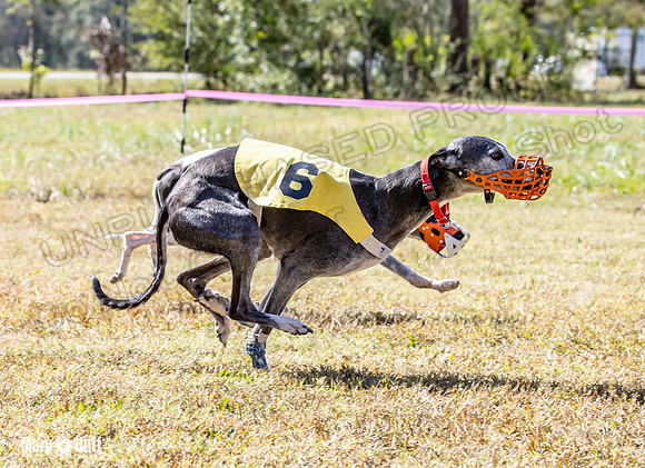 Program 2 Race 7 Dancie Bender Bexley Chuck RileyS Bogie-8415