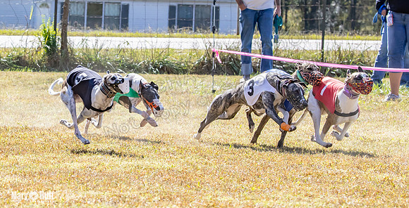 Program 2 Race 7 Dancie Bender Bexley Chuck RileyS Bogie-8401
