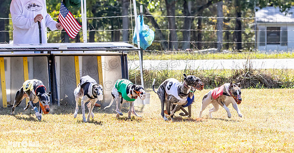 Program 2 Race 7 Dancie Bender Bexley Chuck RileyS Bogie-8389