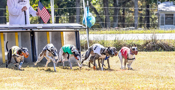 Program 2 Race 7 Dancie Bender Bexley Chuck RileyS Bogie-8388