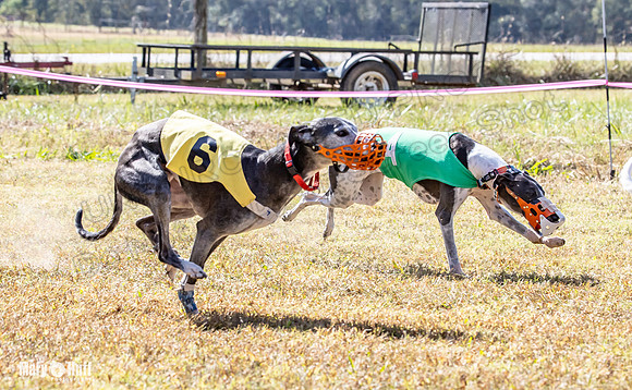 Program 2 Race 7 Dancie Bender Bexley Chuck RileyS Bogie-8411