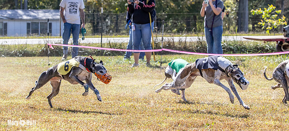 Program 2 Race 7 Dancie Bender Bexley Chuck RileyS Bogie-8405