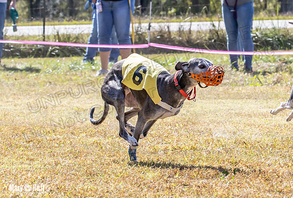Program 2 Race 7 Dancie Bender Bexley Chuck RileyS Bogie-8407