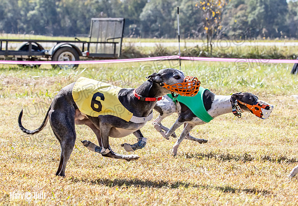 Program 2 Race 7 Dancie Bender Bexley Chuck RileyS Bogie-8412