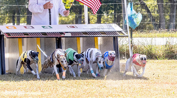 Program 2 Race 5 DArya Clara Swizzle Tusi-8310