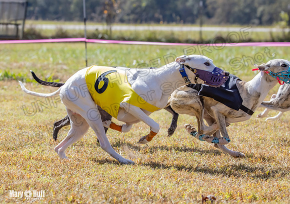 Program 2 Race 9 Remus Bacon Bandit Sneakers Kali Phantom-8485