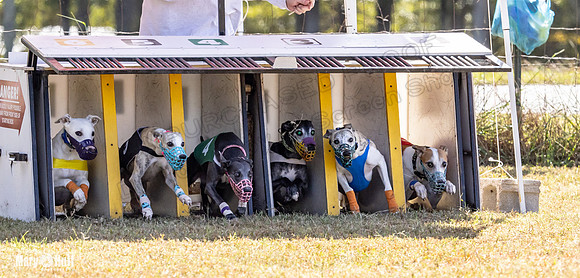 Program 2 Race 9 Remus Bacon Bandit Sneakers Kali Phantom-8453