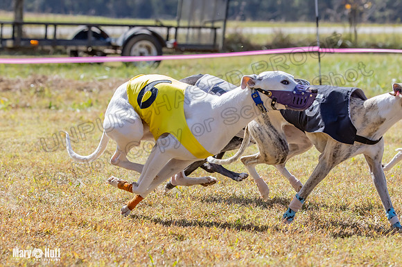 Program 2 Race 9 Remus Bacon Bandit Sneakers Kali Phantom-8484