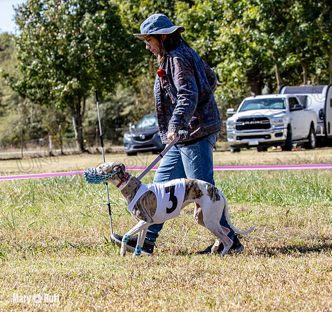 Program 2 Race 5 DArya Clara Swizzle Tusi-8302