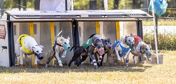 Program 2 Race 9 Remus Bacon Bandit Sneakers Kali Phantom-8457