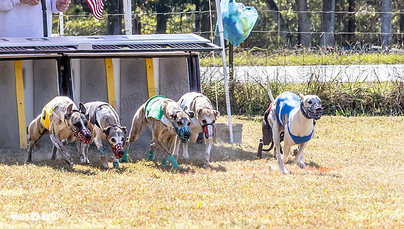 Program 2 Race 4 Sid Sherlock Raz Checkmate CaraCara Stripe-8270