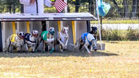 Program 2 Race 4 Sid Sherlock Raz Checkmate CaraCara Stripe-8265