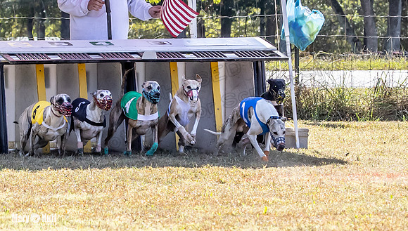 Program 2 Race 4 Sid Sherlock Raz Checkmate CaraCara Stripe-8265