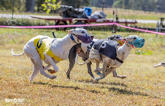 Program 2 Race 9 Remus Bacon Bandit Sneakers Kali Phantom-8481