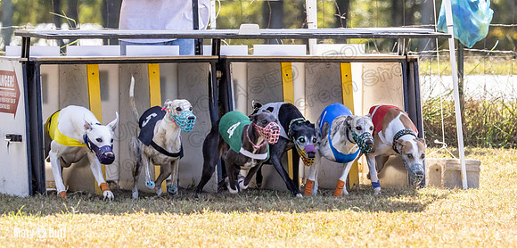 Program 2 Race 9 Remus Bacon Bandit Sneakers Kali Phantom-8456