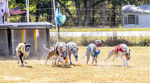 Program 2 Race 5 DArya Clara Swizzle Tusi-8317