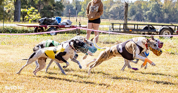 Program 2 Race 5 DArya Clara Swizzle Tusi-8329